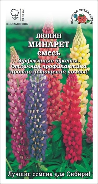 Люпин_Минарет см_0,3_г._Золотая Сотка Алтая