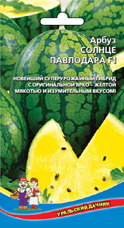 Арбуз_Солнце Павлодара_5_шт._Уральский Дачник