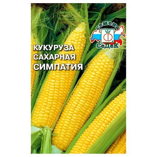 Кукуруза_Симпатия F1 (сахарн)_4_г._Седек