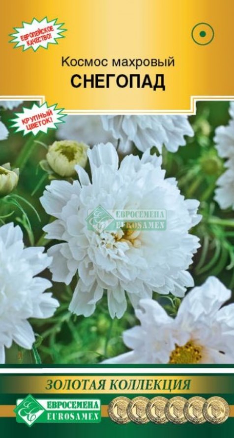 Космея_Снегопад (махр) (Золотая Коллекция)_0,04_г._ЕВРОСЕМЕНА