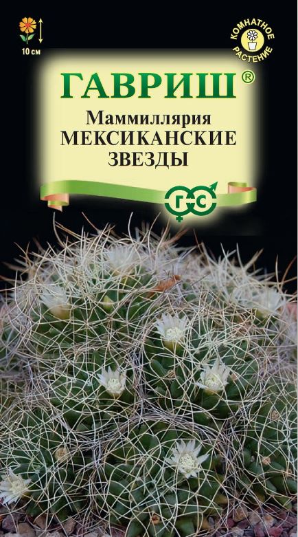 Кактусы_Маммиллярия Мексиканские Звезды_2_шт._Гавриш