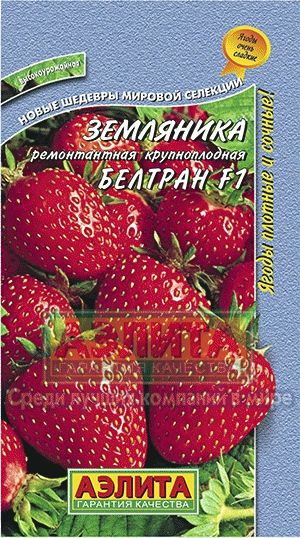 Земляника_Белтран F1 (кл)_5_шт._Аэлита