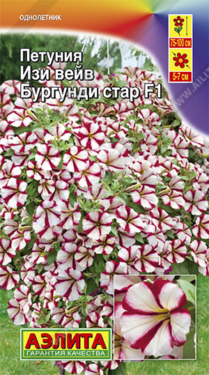 Петуния_Изи Вейв F1 Бургунди Стар (амп)_5_шт._Аэлита