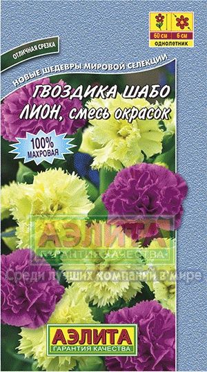 Гвоздика_Лион (шабо) см_0,1_г._Аэлита