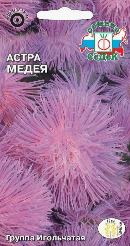 Астра_Медея (игольчатая, розово-сиреневая с белым центром)_0,2_г._Седек