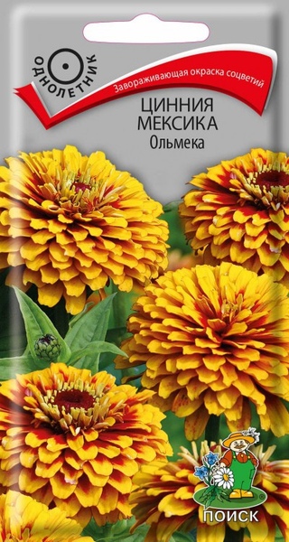 Цинния_Мексика Ольмека_10_шт._Поиск