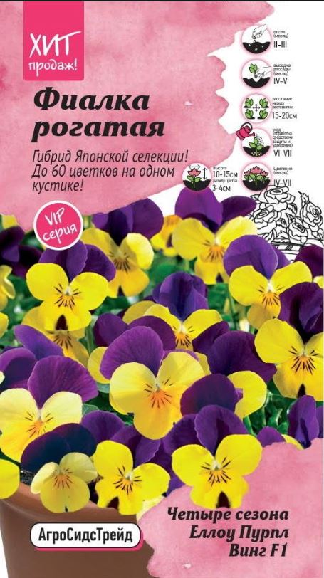Фиалка_Четыре сезона Еллоу Пурпл Винг F1 (рогатая)_0,04_шт._АгроСидсТрейд