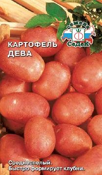 Картофель_Дева ср_0_г._Седек