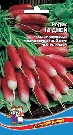 Редис_18 дней_2_г._Уральский Дачник