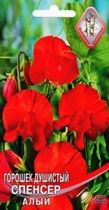 Горошек_Спенсер Алый_12_шт._Дом Семян С-П