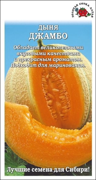 Дыня_Джамбо_0,5_г._Золотая Сотка Алтая
