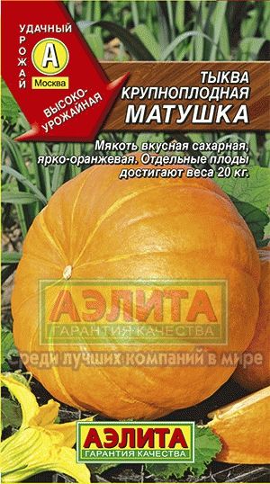 Тыква_Матушка_1_г._Аэлита