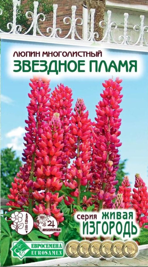 Люпин_Звездное Пламя (Живая Изгородь)_0,5_г._ЕВРОСЕМЕНА