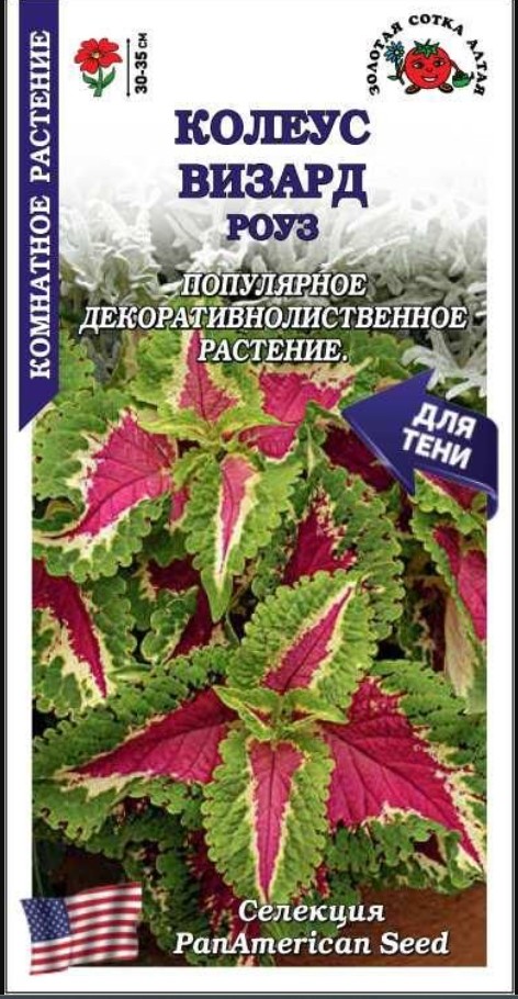 Колеус_Визард Роуз (для тени)_10_шт._Золотая Сотка Алтая