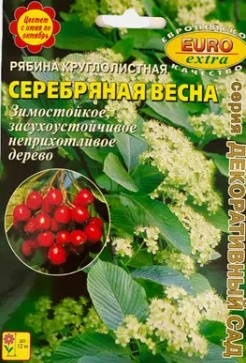 Рябина_Серебряная весна круглолистная_0,1_г._Аэлита Э
