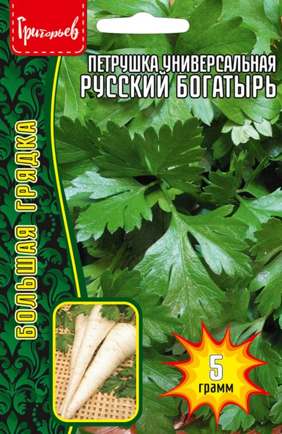 Петрушка_Русский Богатырь (универсальная) б/ф_5_г._Григорьев