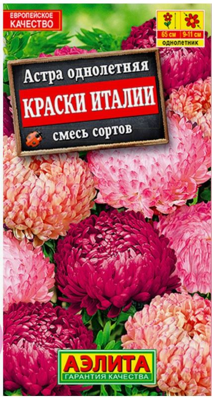 Астра_Краски Италии см (пионовидная)_0,2_г._Аэлита
