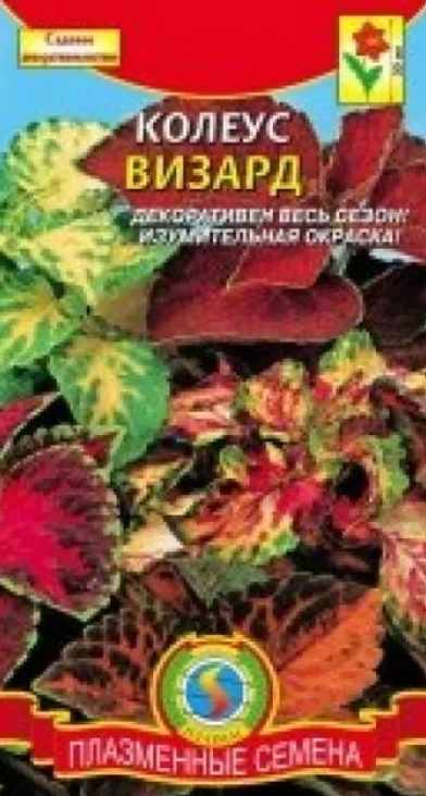 Колеус_Визард см_0,04_шт._Плазменные семена