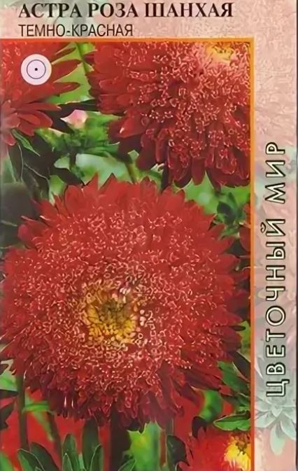 Астра_Шанхайская роза Тёмно-Красная (принцесса)_0,04_шт._Дом Семян С-П