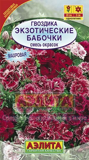 Гвоздика_Экзотические бабочки махр см_0,1_г._Аэлита