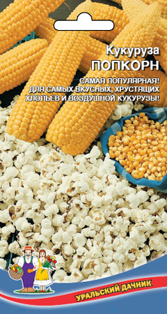 Кукуруза_Попкорн_5_г._Уральский Дачник