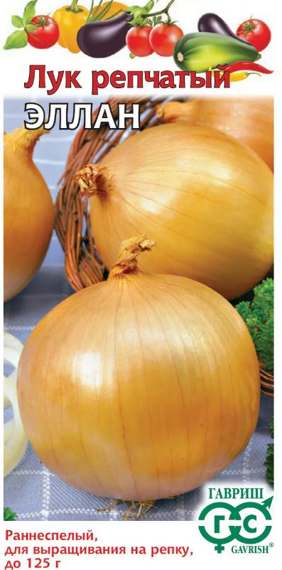 Лук_Эллан репка (подзимний)_0,04_г._Гавриш