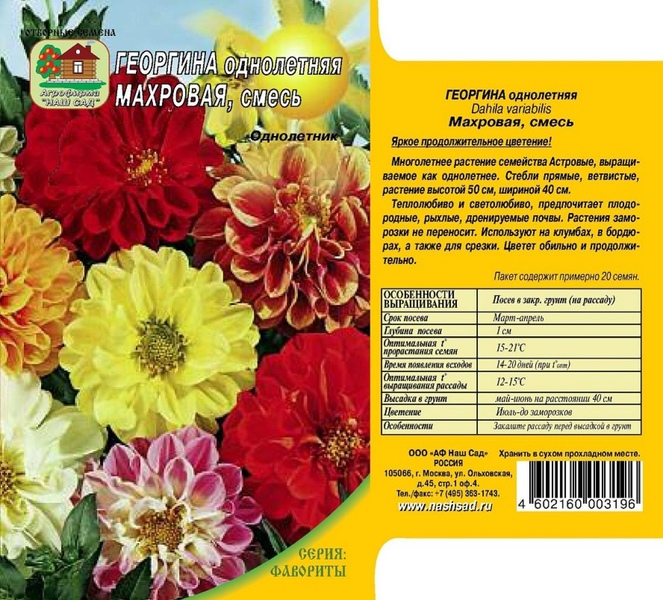 Георгин_Махровая см_0,3_г._Наш Сад