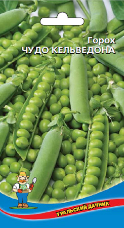 Горох_Чудо Кальведона_8_г._Уральский Дачник