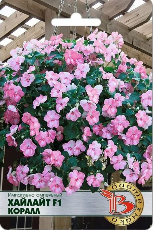Бальзамин_Хайлайт Коралл F1 (амп)_0,04_шт._Биотехника
