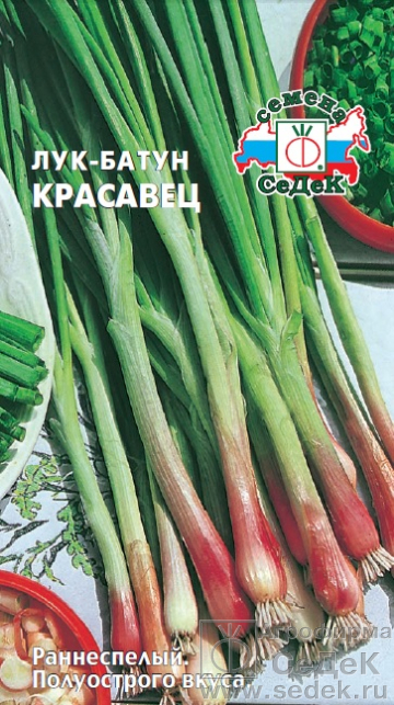 Лук_Красавец (батун многолетний)_0,3_г._Седек