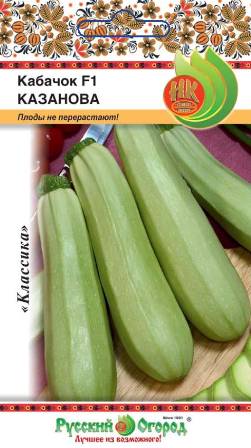 Кабачок_Казанова F1_1_г._НК