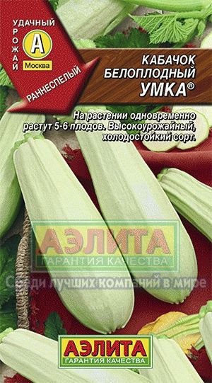 Кабачок_Умка_2_г._Аэлита