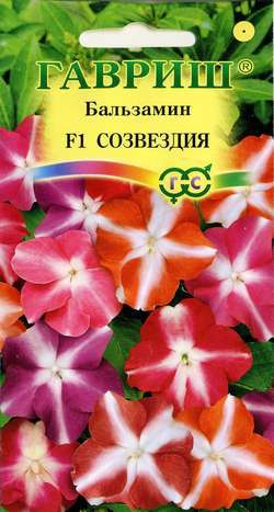 Бальзамин_Созвездия F1 см (Уоллера)_4_шт._Гавриш