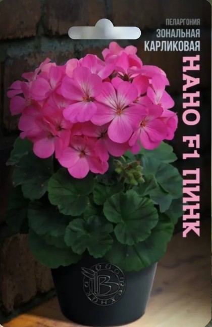 Герань (Пеларгония)_Нано F1 Пинк (карликовая )_5_шт._Биотехника
