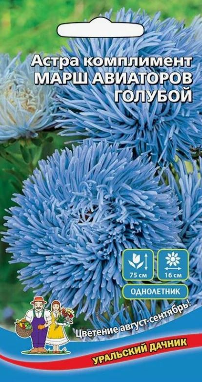 Астра_Марш Авиаторов Голубой (хризантемовидная)_0,2_г._Уральский Дачник