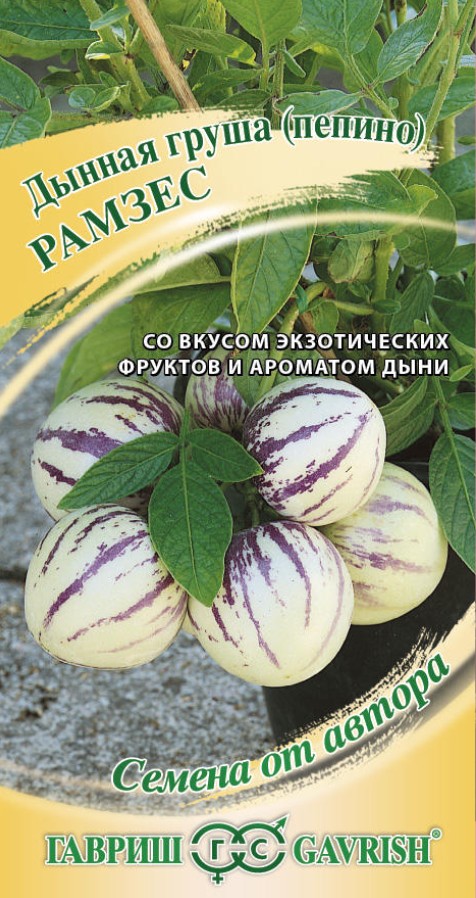 Пепино_Дынная груша Рамзес_5_шт._Гавриш