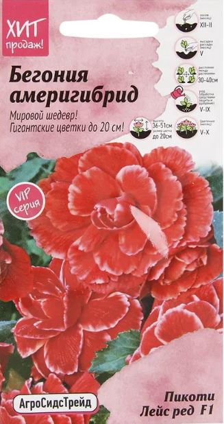 Бегония_Америгибрид F1 Пикоти Лейс Ред (клубн)_5_шт._АгроСидсТрейд