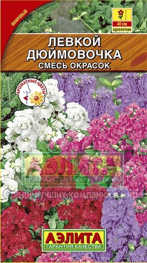 Левкой (маттиола)_Дюймовочка см_0,1_г._Аэлита