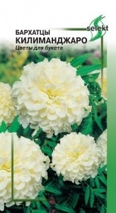 Бархатцы (тагетис)_Килиманджаро (белые)_35_шт._Дом Семян С-П