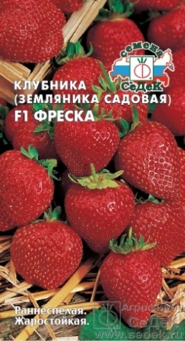 Земляника_Фреска F1 (кл)_15_шт._Седек