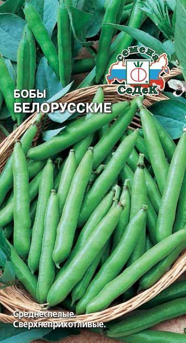 Бобы_Белорусские_10_г._Седек