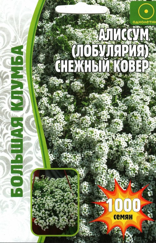 Алиссум (лобулярия)_Снежный ковер б/ф_1000_шт._Григорьев