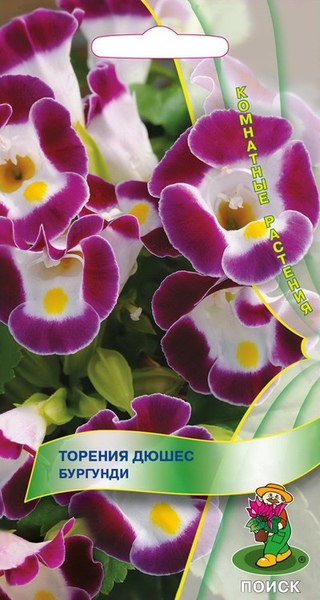 Торения_Дюшес бургунди_10_шт._Поиск