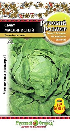 Салат_Маслянистый (кочан) Русский размер_0,5_г._НК