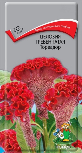 Целозия_Тореадор (гребенчатая)_0,1_г._Поиск