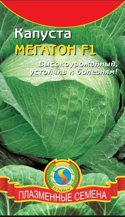 Капуста_б/к_Мегатон F1 (ср/позд)_0,04_шт._Плазменные семена