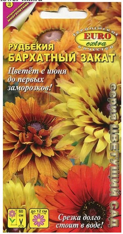 Рудбекия_Бархатный закат см_0_г._Аэлита Э