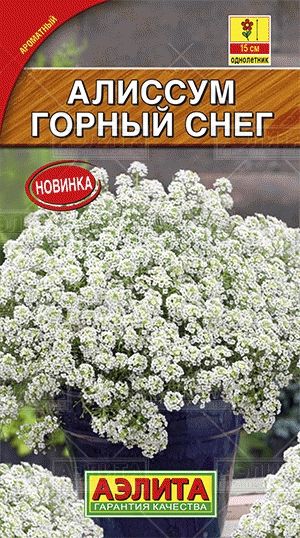 Алиссум (лобулярия)_Горный снег_0,1_г._Аэлита