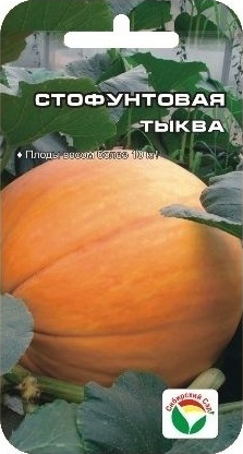 Тыква_Стофунтовая (крупноплодная)_5_шт._Сибирский Сад