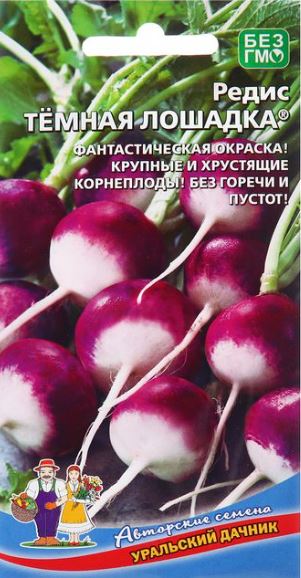 Лук_Темная Лошадка репка_0,04_г._Уральский Дачник